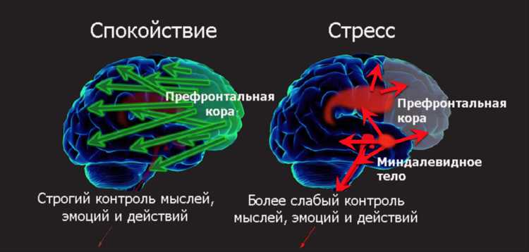 Как снизить стресс у учеников на проверочных работах