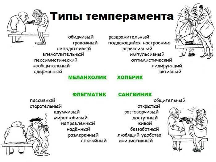 Как реагировать на агрессию и конфликты в школе