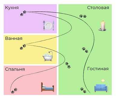 Способы развития фотографической памяти