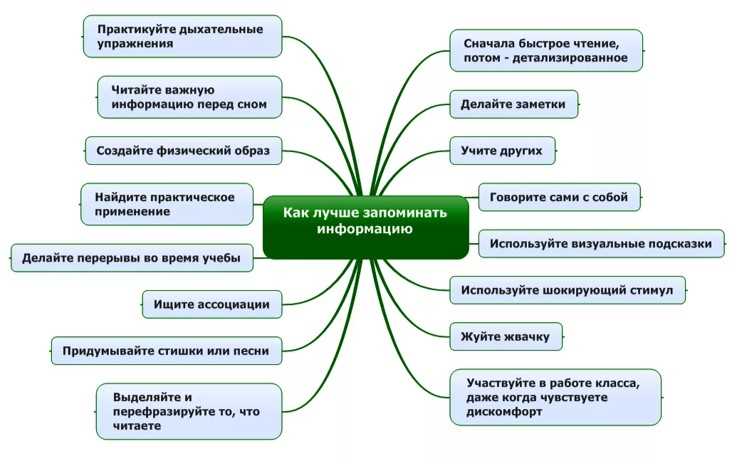 Техники запоминания для успешного усвоения материала