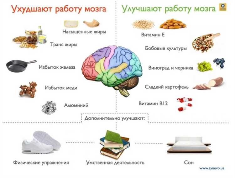Упражнения для улучшения памяти перед экзаменом