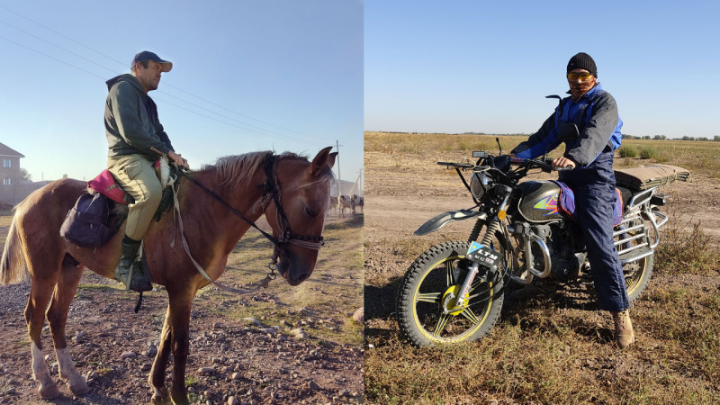 Чабаны Казахстана: Как современная жизнь и высокие зарплаты меняют традиционную профессию и её влияние на кочевую культуру