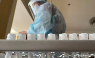 Гонконгский грипп, сокращенный рабочий день для родителей: Что обсуждали в Казахстане 19 ноября