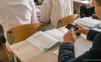 Школьники переведены на удаленку из-за заболеваемости в Абай и Восточно-Казахстанской области