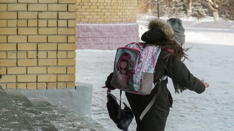 Морозы: младшие классы на удаленке в двух областях с 22 декабря