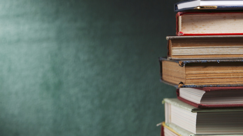 Казахстанка оштрафована за нецензурные слова сына на уроке в Лисаковске