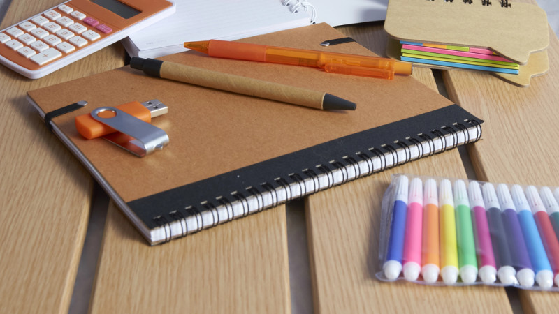 Токаев: Дефицит школ в Астане и отсутствие трехсменного обучения