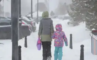 Дистанционное обучение в Павлодарской и Северо-Казахстанской области с 15 января