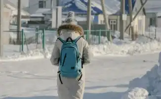 Астана, дистанционное обучение, первая смена, 14 января, учащиеся, непогода, школы, 0-9 классы