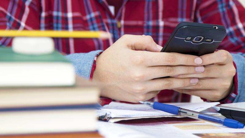 Родители школьников обнаружили расхождения в записях о дополнительных занятиях в приложении eGov