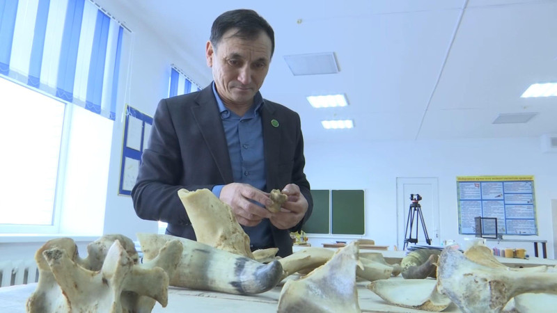 Резьба по кости: казахстанский педагог учит детей терпению и традициям