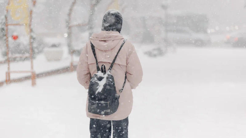 Сильные морозы: школы и колледжи Павлодарской и Восточно-Казахстанской областей переходят на удаленное обучение 26 февраля