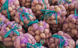 Смерть срочника, скандал Burger King и картошка по 700 тенге: главные новости 17 февраля