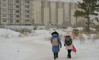Учащихся второй смены в Астане и Семее перевели на дистанционку из-за мороза