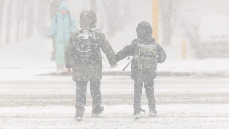 Дистанционные занятия в Казахстане из-за плохой погоды