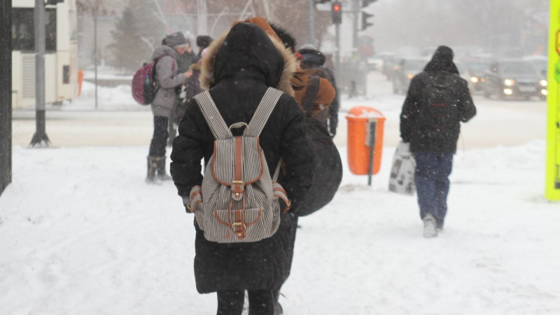 Астана укрылась под снежным покрывалом: учащиеся второй смены отправлены в виртуальный класс